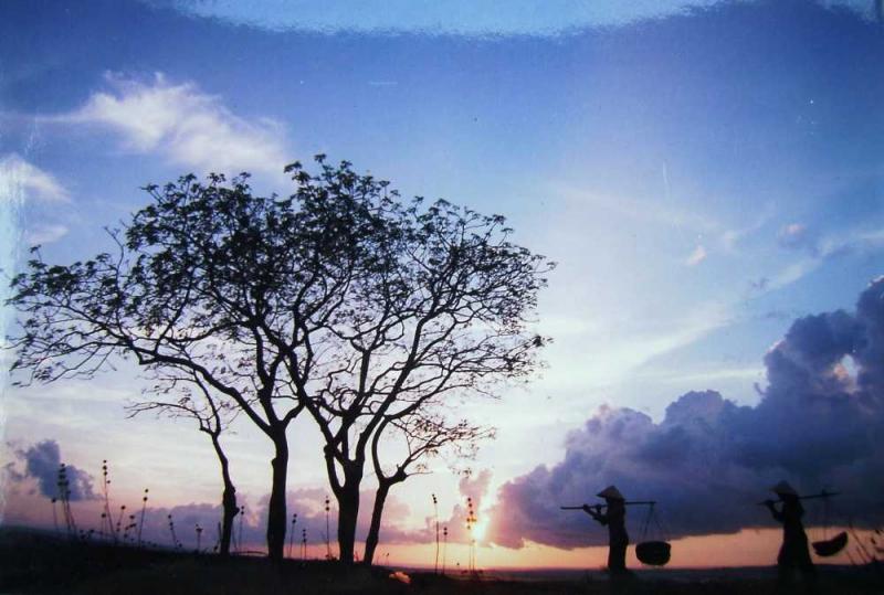 Chiều cuối năm