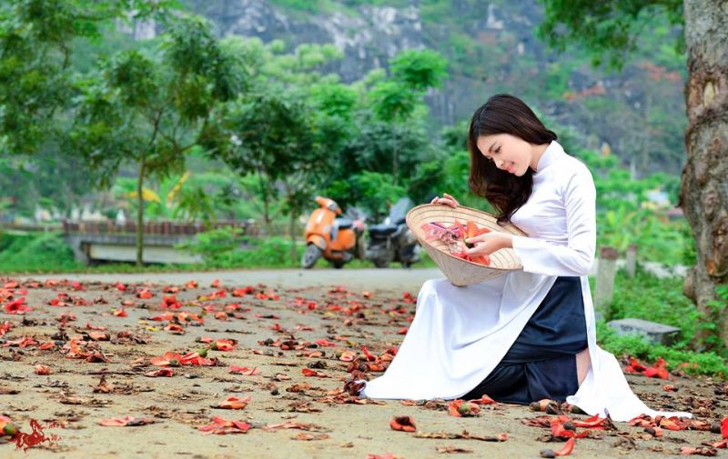 Ảnh minh họa (nguồn internet)
