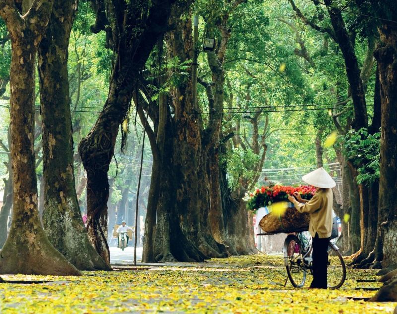 Ảnh minh họa (nguồn Internet)
