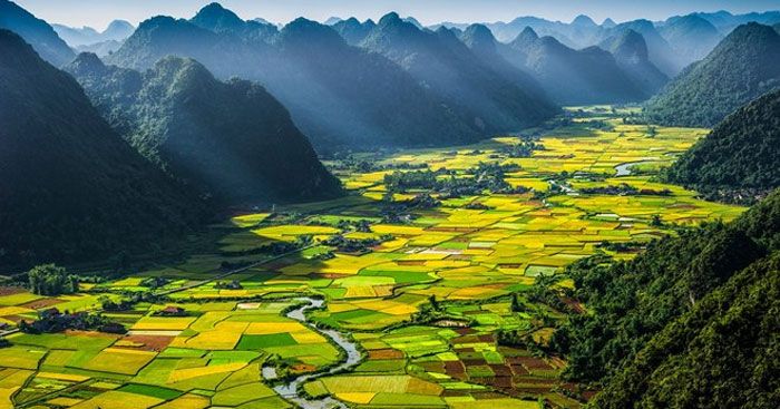 Ảnh minh họa (nguồn Internet)