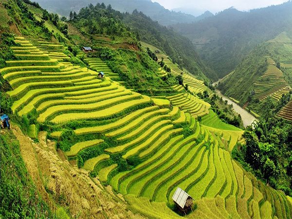 Việt Nam quê hương ta