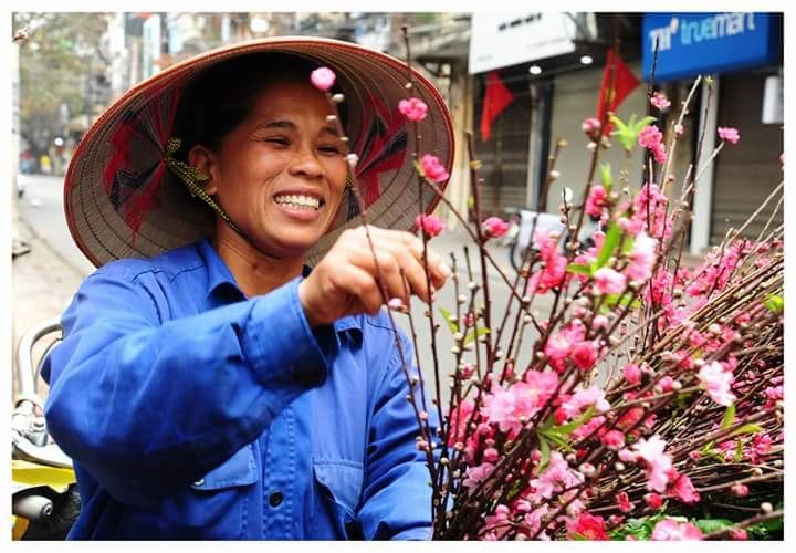 Ảnh  minh họa