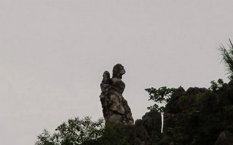 Ảnh minh họa (nguồn internet)