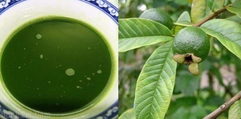 Nước lá ổi và muối chữa sâu răng hiệu quả