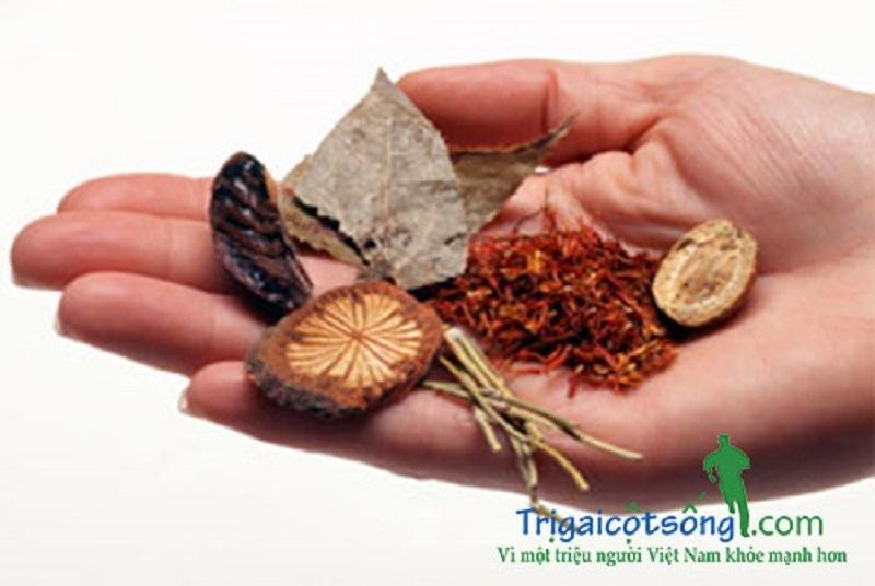 Bài thuốc nam chữa bệnh gai cột sống