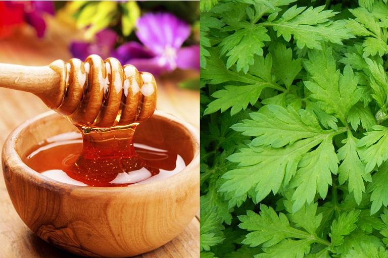 Ngải cứu và mật ong trị đau xương khớp hiệu quả