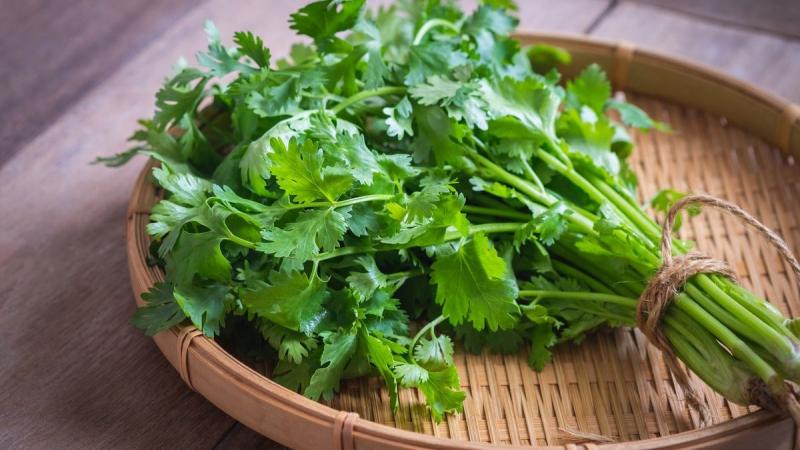 Giã cần ta, lấy nước đem nấu sôi