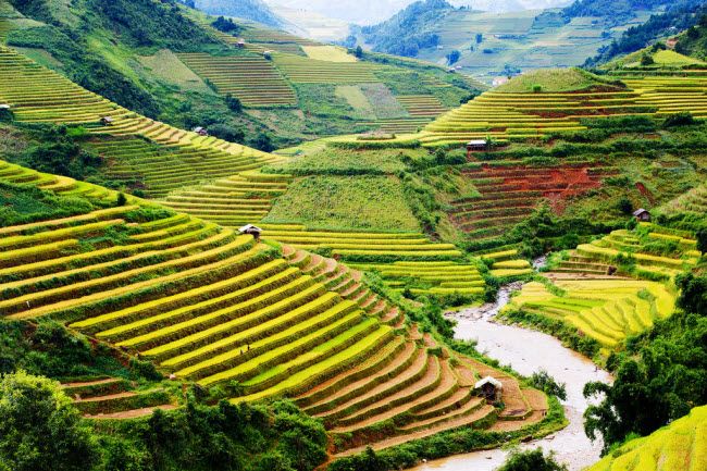 Bài tham khảo số 1