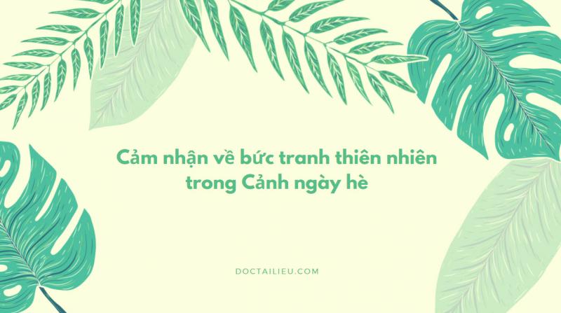 Bài văn cảm nhận số 2