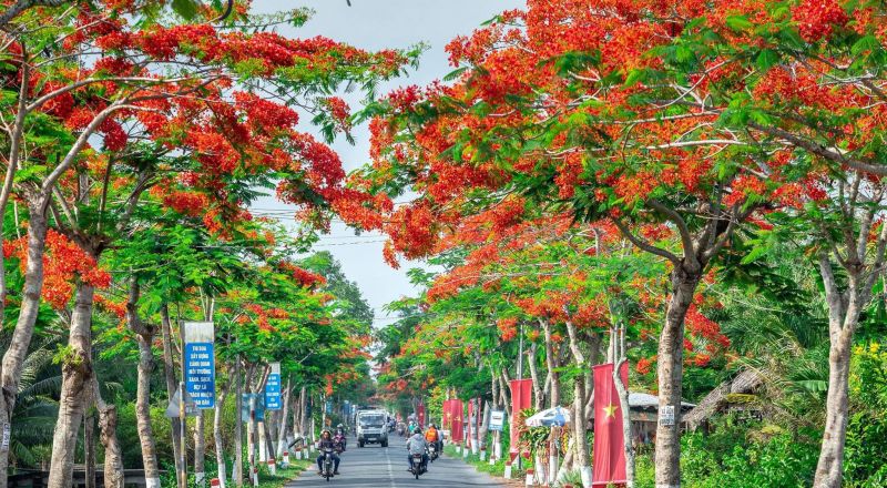 Bài văn cảm nhận số 3