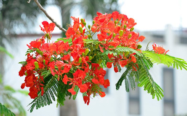 Bài văn cảm nhận số 6
