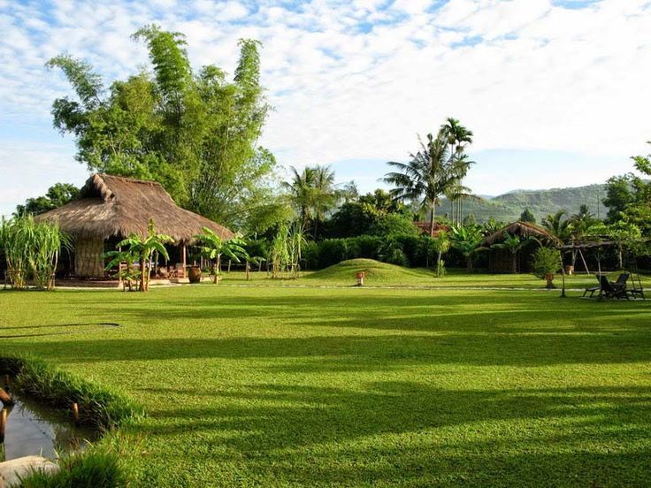 Bài văn cảm nhận số 8