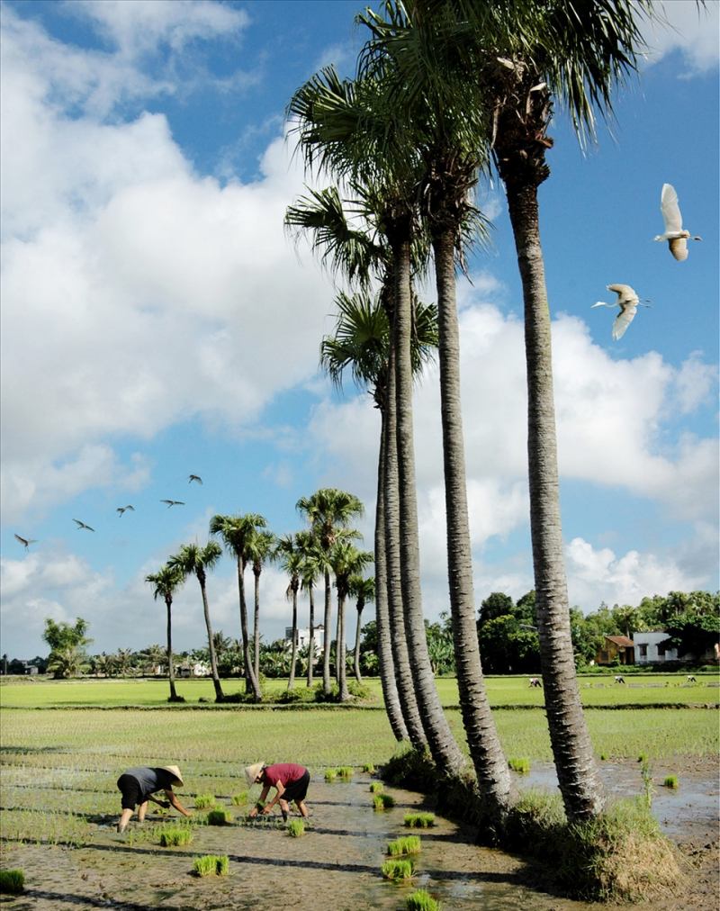 Bài văn cảm nhận số 8
