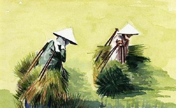 Ảnh minh họa (Nguồn internet)
