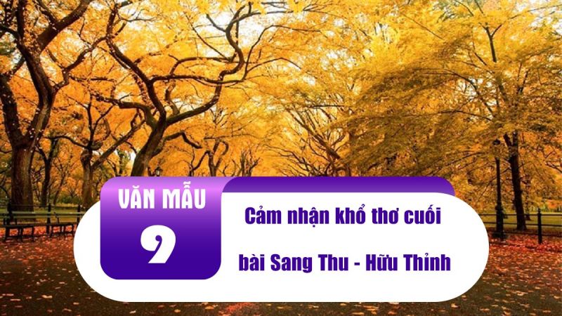 Ảnh minh họa (Nguồn internet)