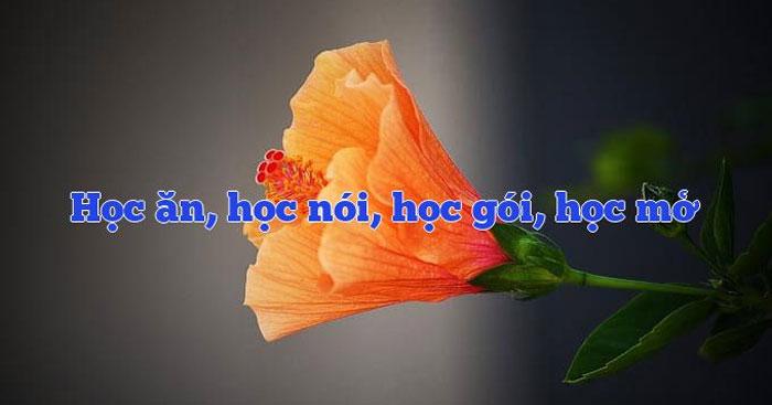 Ảnh minh họa (Nguồn internet)