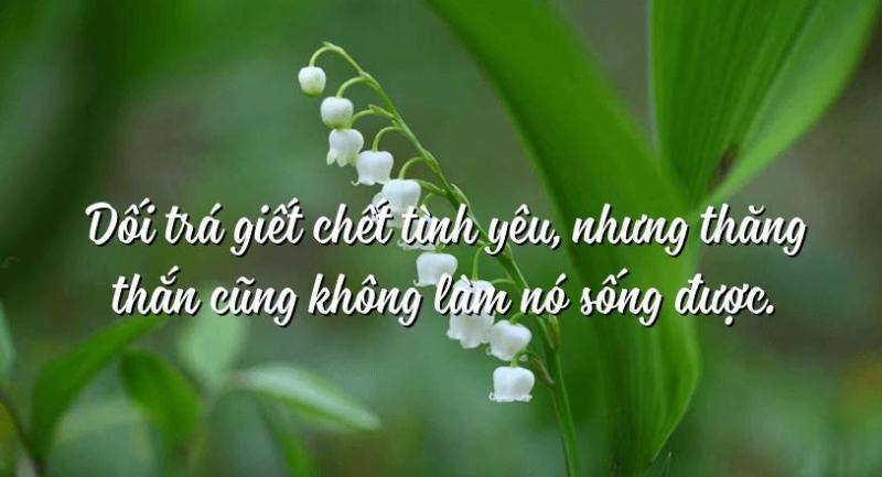 Ảnh minh họa (Nguồn internet)