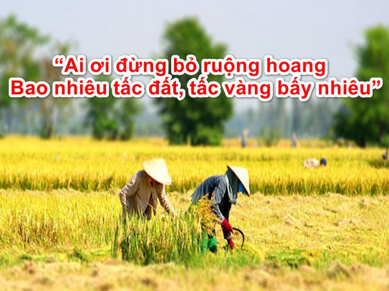 Ảnh minh họa (Nguồn internet)