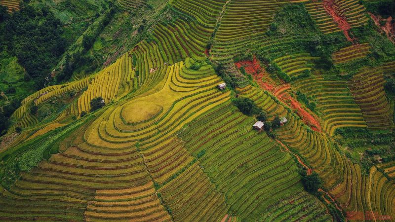 Bài văn mẫu phân tích tính dân tộc trong tác phẩm Việt Bắc số 11