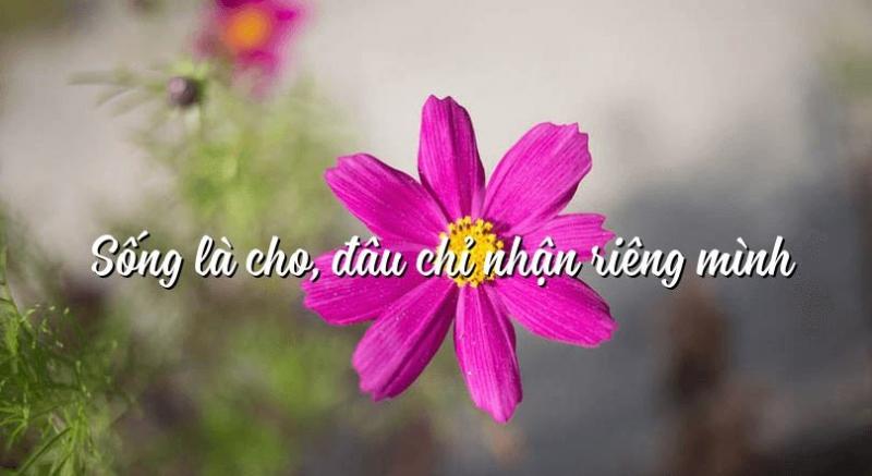 Ảnh minh họa (Nguồn internet)