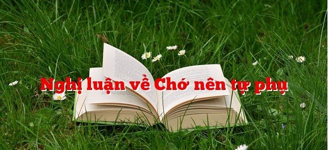 Ảnh minh họa (Nguồn internet)
