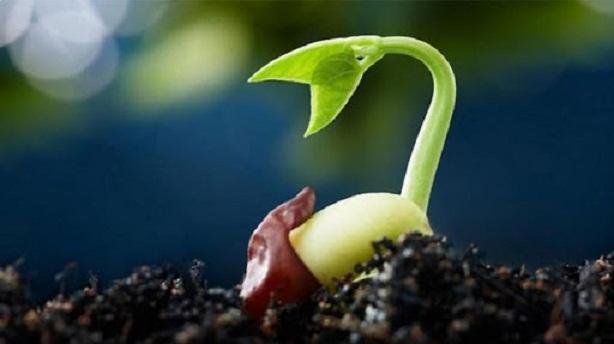 Bài văn nghị luận về khát vọng và tham vọng của con người số 8