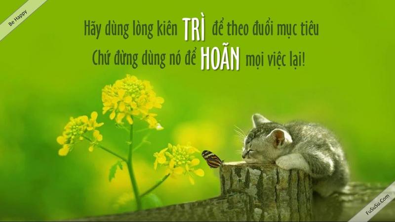 Bài văn nghị luận về tác hại của thói quen trì hoãn số 4