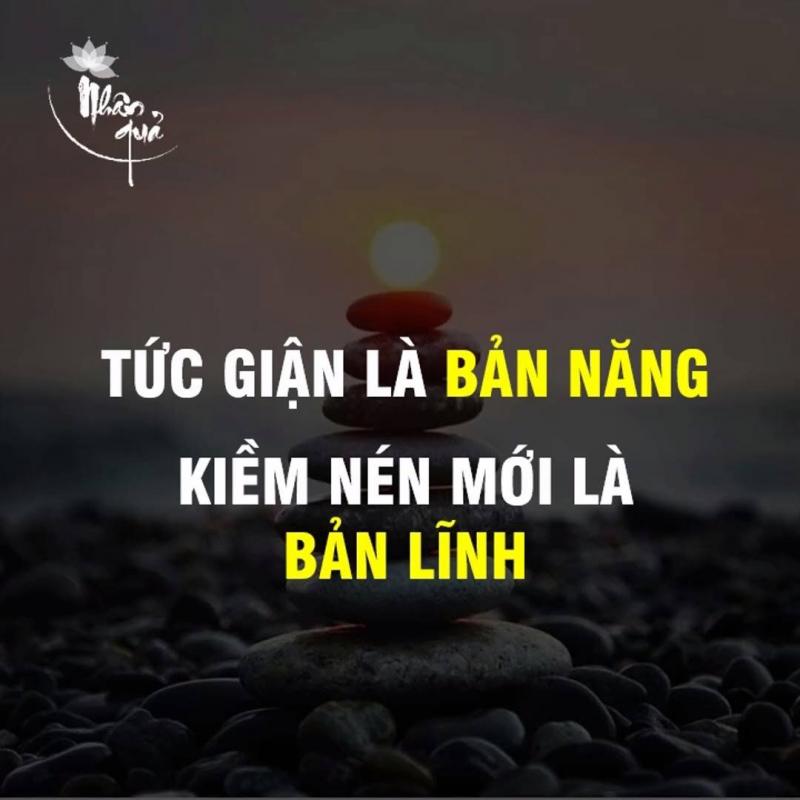 Ảnh minh họa (Nguồn internet)
