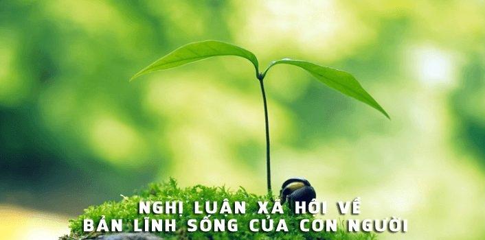 Ảnh minh họa (Nguồn internet)