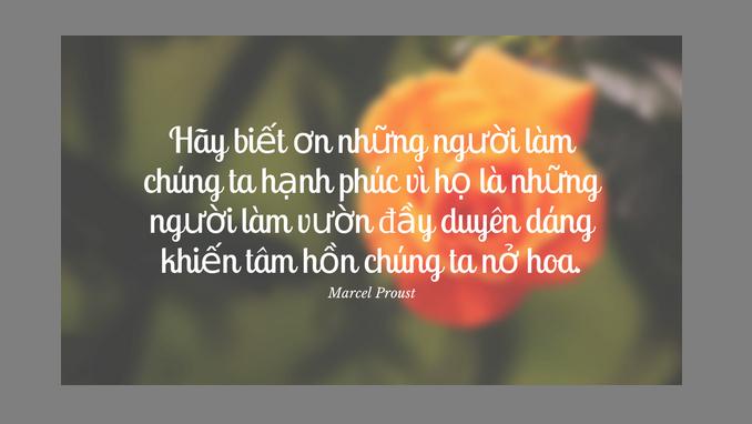 Bài văn nghị luận xã hội về lòng biết ơn số 10