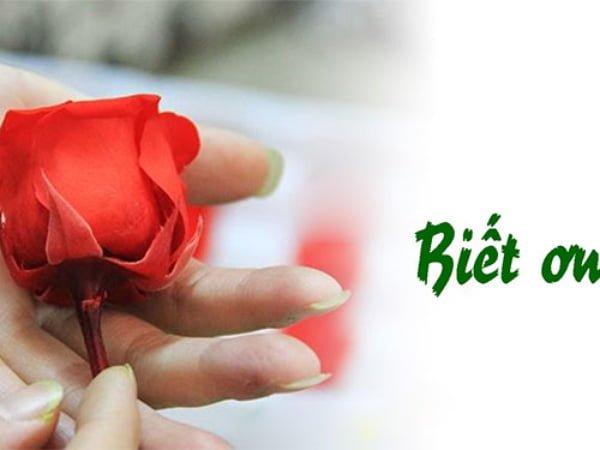 Bài văn nghị luận xã hội về lòng biết ơn số 4