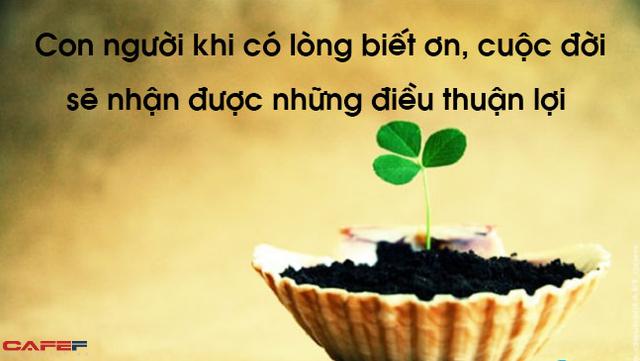 Bài văn nghị luận xã hội về lòng biết ơn số 8