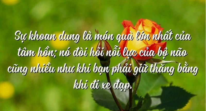 Ảnh minh họa (Nguồn internet)