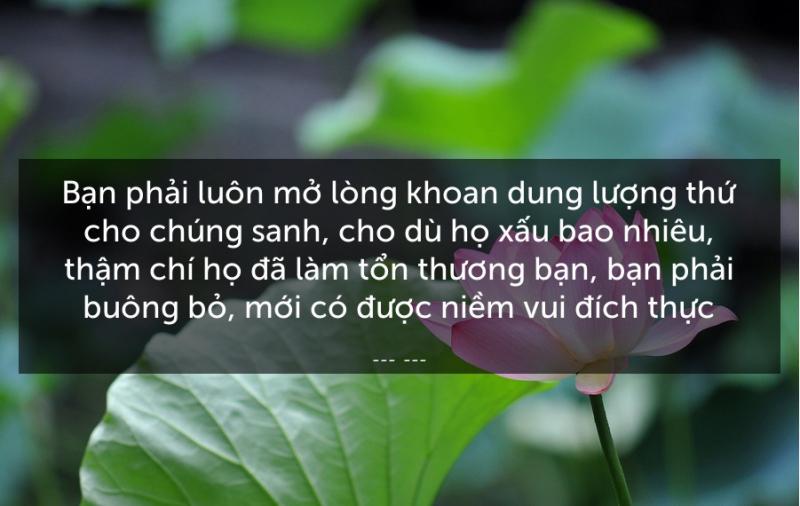 Ảnh minh họa (Nguồn internet)
