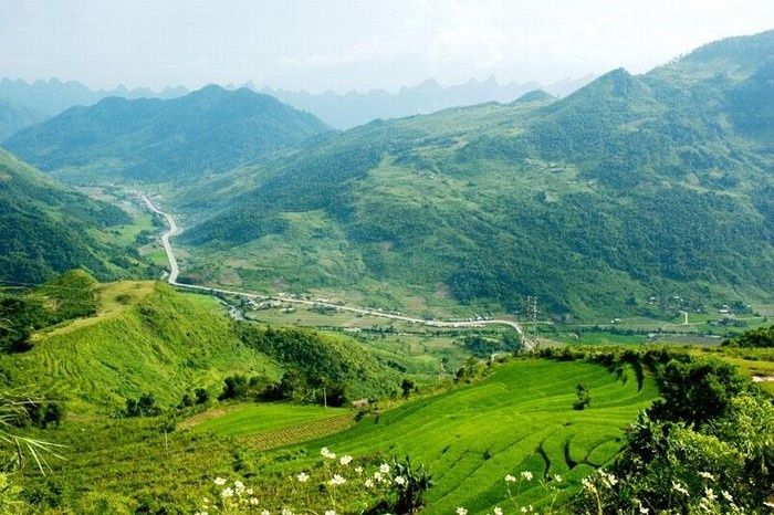 Ảnh minh họa (Nguồn internet)