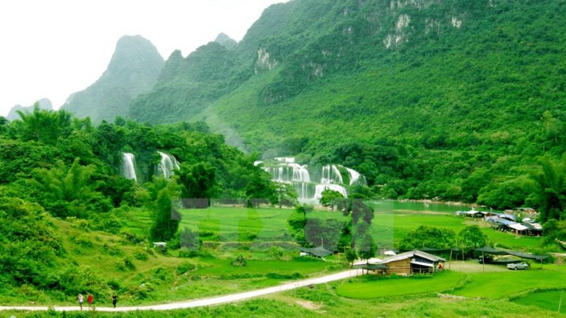 Bài văn phân tích bài thơ 