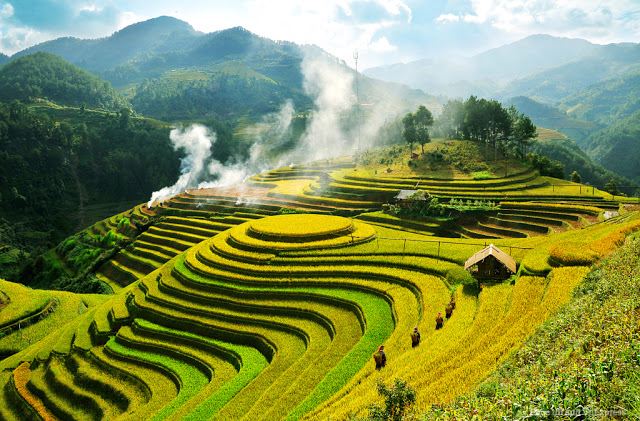 Bài văn phân tích bài thơ 