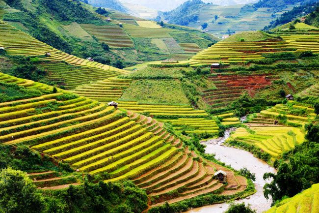 Bài văn phân tích bài thơ 