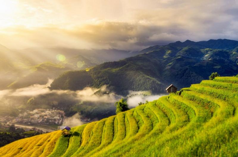 Bài văn phân tích bài thơ 