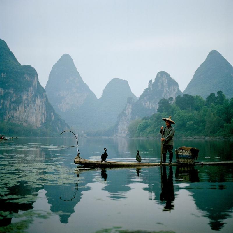 Ảnh minh họa (Nguồn internet)