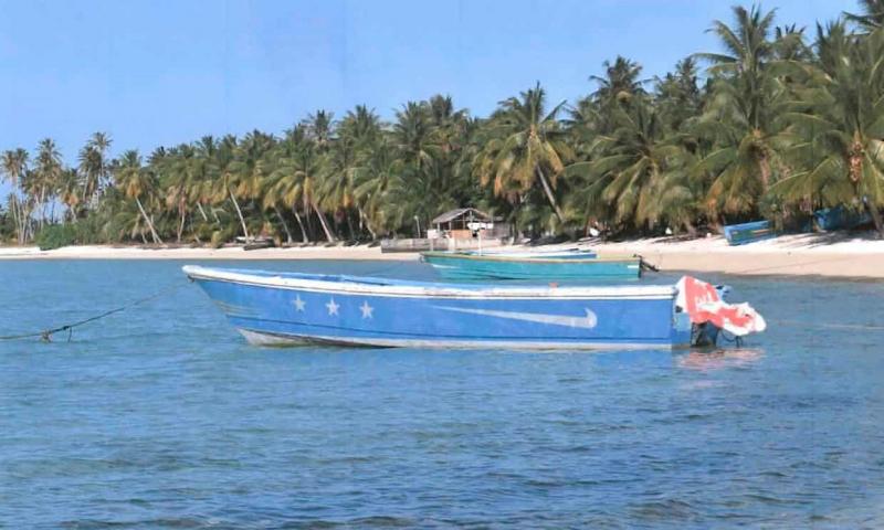 Ảnh minh họa (Nguồn internet)