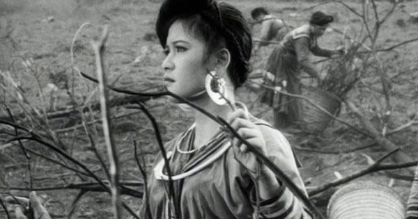 Bài văn phân tích chất thơ trong truyện ngắn 