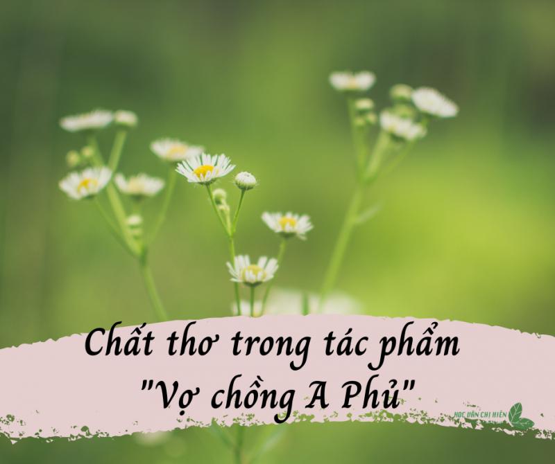 Bài văn phân tích chất thơ trong truyện ngắn 