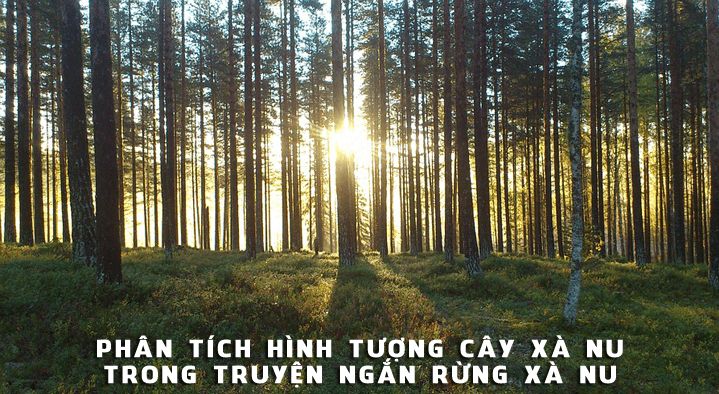 Bài văn phân tích hình tượng rừng xà nu số 12