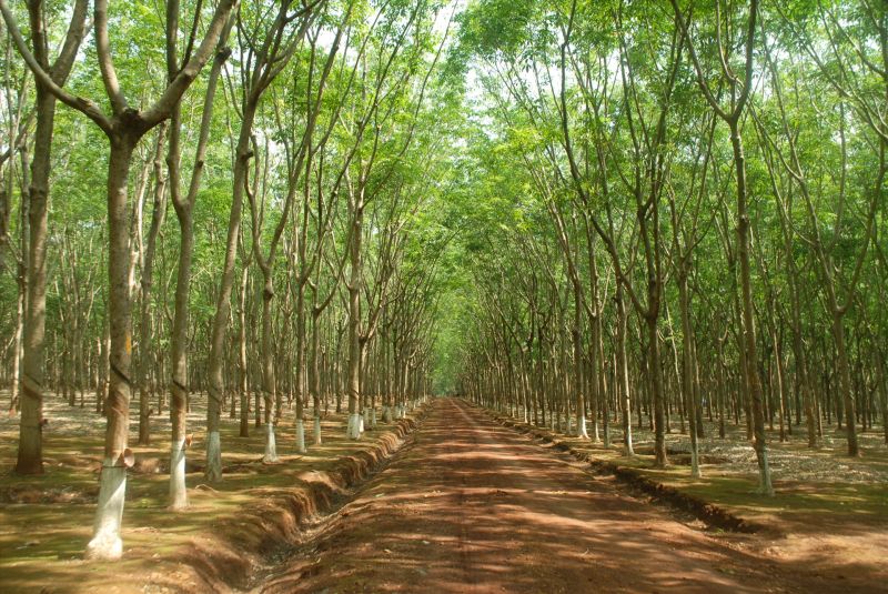 Bài văn phân tích nhân vật cụ Mết trong 