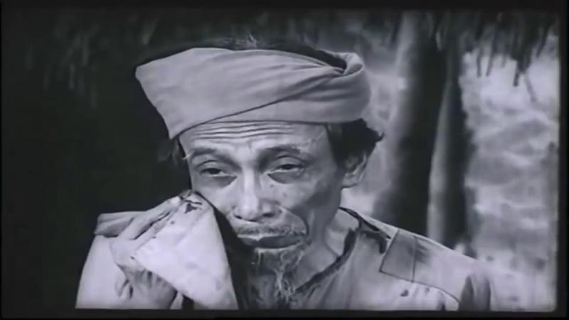 Ảnh minh họa (nguồn internet)