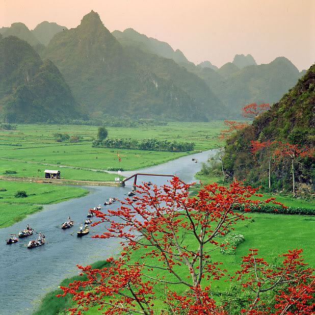 Ảnh minh họa (Nguồn internet)