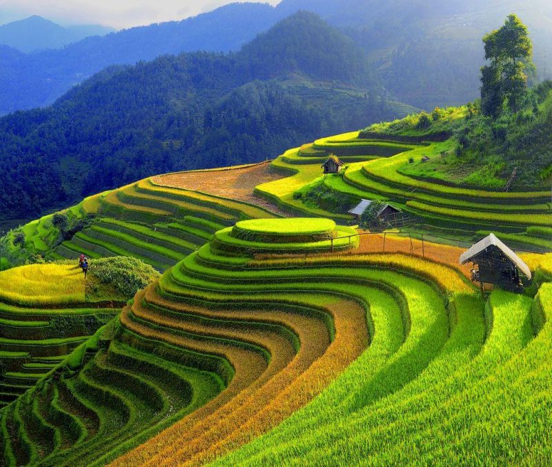 Bài văn phân tích tác phẩm 