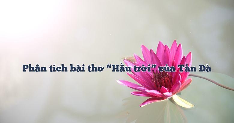 Ảnh minh họa (Nguồn internet)