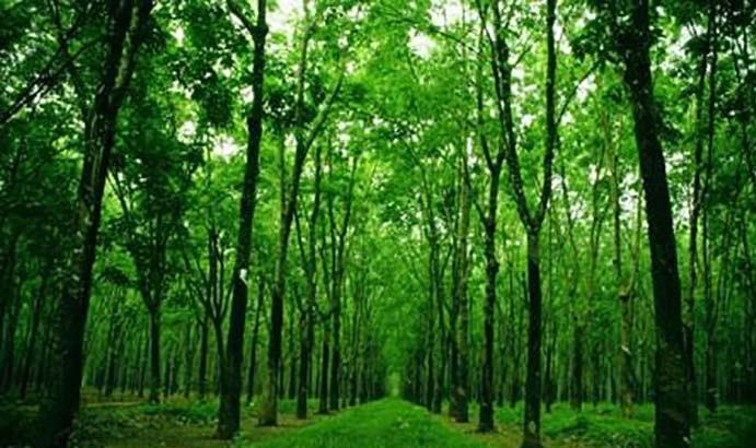 Bài văn phân tích nhân vật cụ Mết trong 